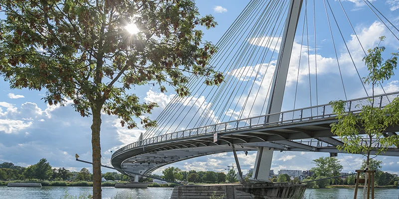 Partner für die freiwillige Wirtschaftsprüfung von Stiftung, GmbH, Verein